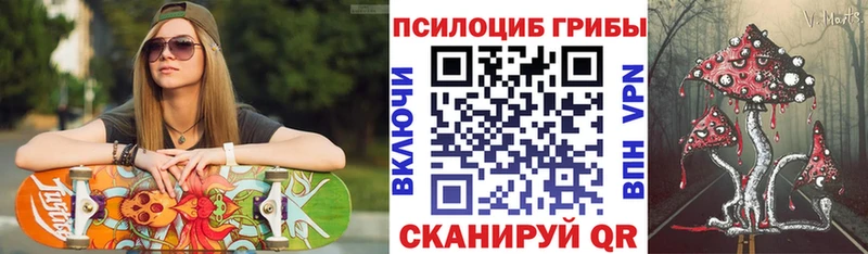 Купить закладки  Калтан  Псилоцибиновые грибы Cubensis 